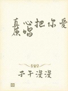 真心把你爱一回原唱