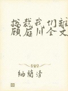 总裁我们离婚吧顾庭川全文