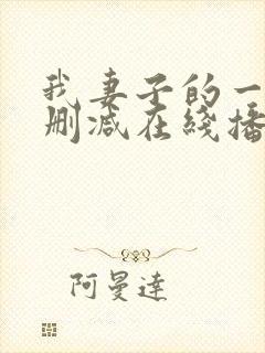 我妻子的一切未删减在线播放