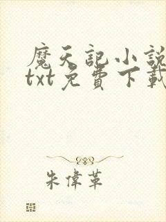 魔天记小说下载txt免费下载
