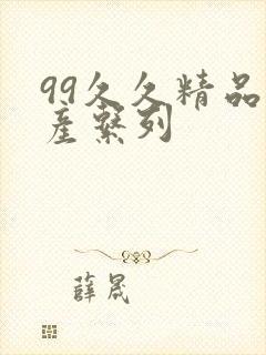 99久久精品国产系列