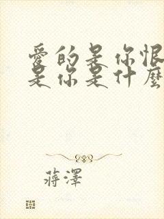 爱的是你恨的也是你是什么歌