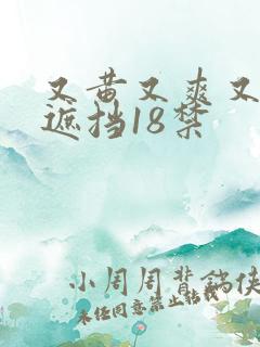 又黄又爽又色无遮挡18禁