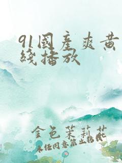 91国产爽黄在线播放