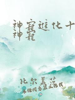 神宠进化十二个神宠