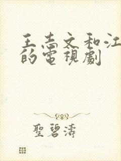 王志文和江珊演的电视剧