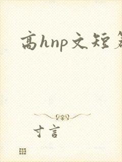 高hnp文短篇