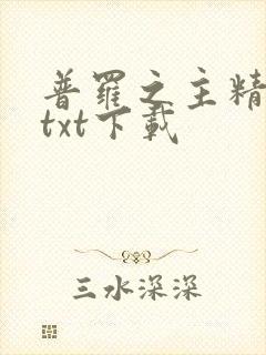 普罗之主精校版txt下载