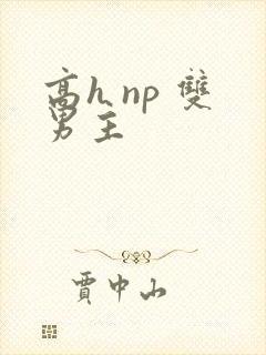 高h np 双男主