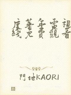 度华年电视剧在线免费观看完