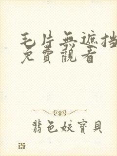 毛片无遮挡高清免费观看