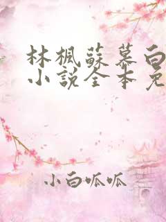 林枫苏慕白穿越小说全本免费阅读1057