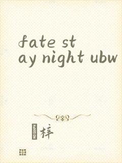 fate stay night ubw番剧版