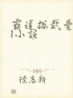 霸道总裁爱上我l小说