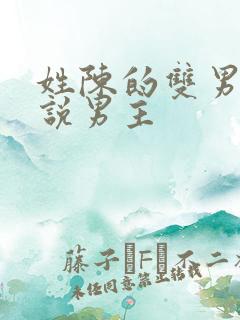 姓陈的双男主小说男主