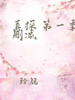 真探 第一季无删减