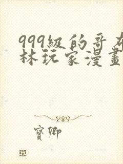 999级的哥布林玩家漫画