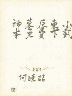 神墓辰东小说全本免费下载