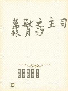 万兽之主司空靖苏月汐
