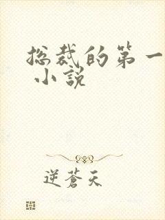 总裁的第一宠妻 小说