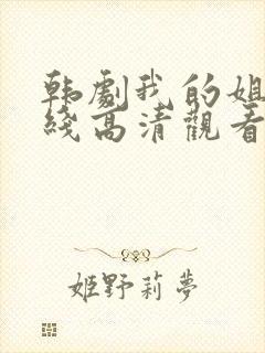 韩剧我的姐姐在线高清观看