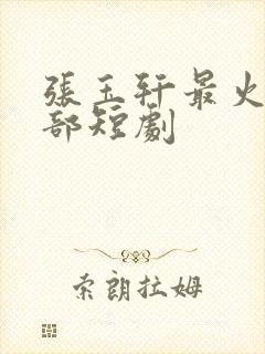 张玉轩最火的十部短剧