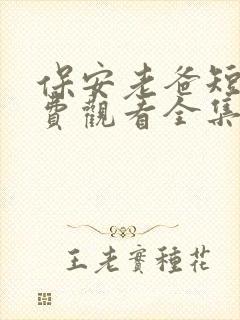 保安老爸短剧免费观看全集