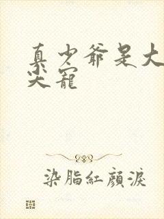 真少爷是大佬心尖宠