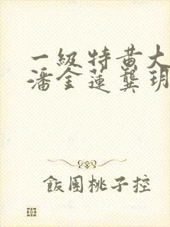 一级特黄大片 潘金莲龚玥菲