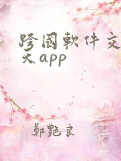 跨国软件交友聊天app