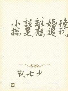 小说离婚后前夫总是想追我免费阅读