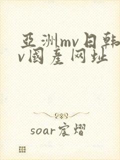 亚洲mv日韩mv国产网址