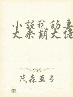 小说我的妻子是大乘期大佬在线阅读