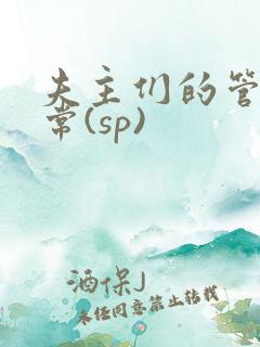 夫主们的管教日常(sp)