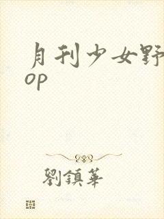 月刊少女野崎君op