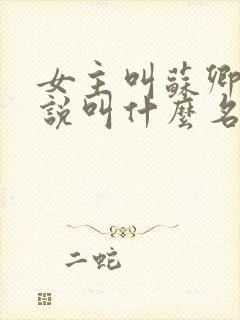 女主叫苏卿的小说叫什么名字