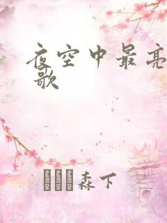 夜空中最亮的星 歌