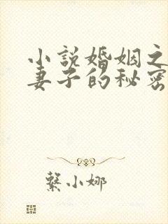 小说婚姻之殇:妻子的秘密方恒免费阅读