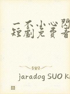 一不小心闪婚了短剧免费看