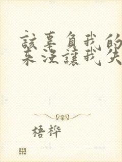 该辜负我的事从来没让我失望过