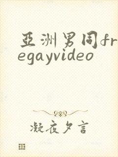 亚洲男同freegayvideo