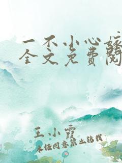 一不小心嫁总裁全文免费阅读