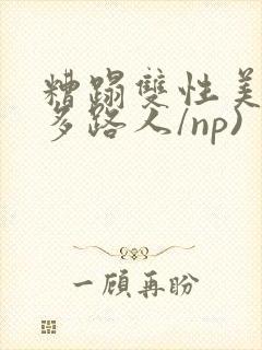 糟蹋双性美人(多路人/np)