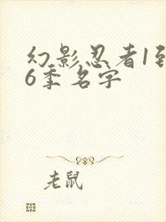 幻影忍者1到16季名字