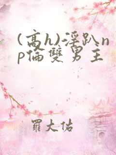 (高h)淫趴np伦双男主