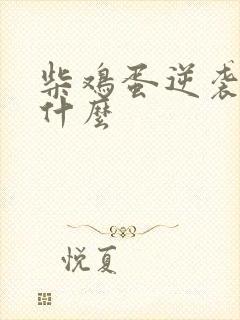 柴鸡蛋逆袭讲的什么