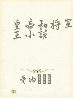 皇帝和将军双男主小说