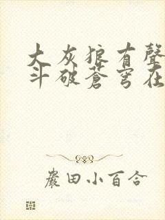 大灰狼有声小说斗破苍穹在线收听