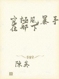 究极风暴手机版在哪下