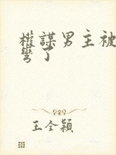 权谋男主被我掰弯了